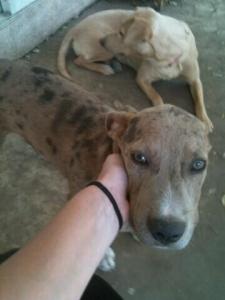 298067_754746490040_759961914_n